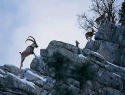 Erzurum doğa hazinesi